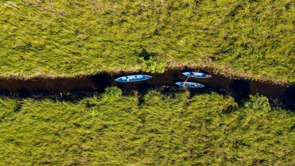 विश्व पर्यावरण दिवस 2021 की थीम को समझिए?