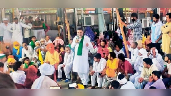 Haryana: farmers move into tohana police station, cow in tow