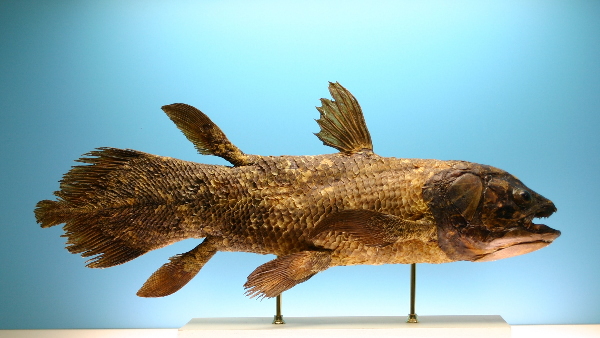 फ्रांसीसी वैज्ञानिकों ने किया रिसर्च