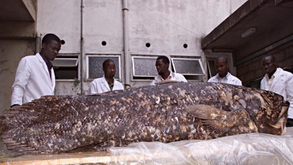 100 साल तक होती है मछली की उम्र