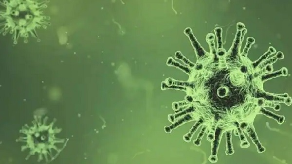 Bhopals elderly woman infected with new variant of corona virus Delta Plus Bhopals elderly woman infected with new variant of corona virus Delta Plus