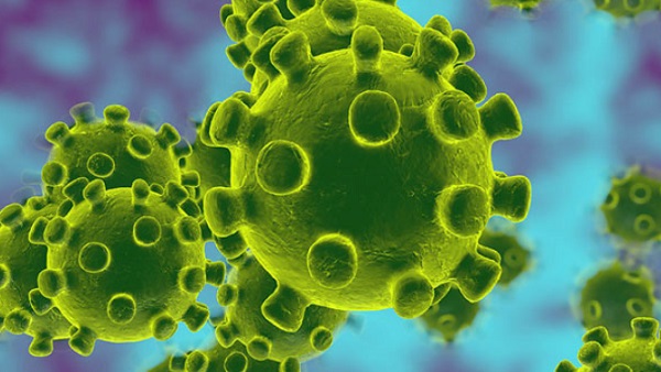 क्या है ग्रीन फंगस? क्या है ग्रीन फंगस?