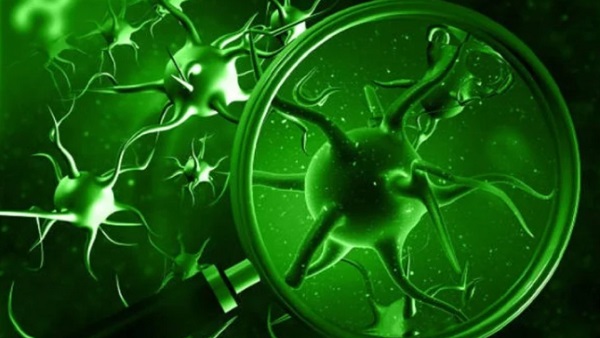 फंगल इंफेक्शन को कैसे कंट्रोल करें? फंगल इंफेक्शन को कैसे कंट्रोल करें?