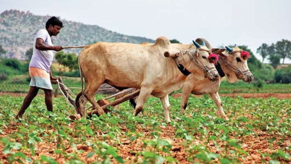 किसानों के लिए भी बड़ी राहत