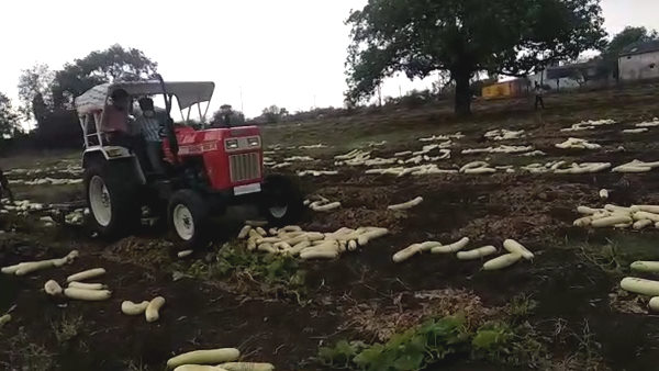 सोयाबीन के लिए तैयार करना है खेत 