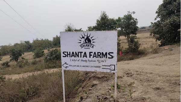 शांता डेयरी फार्म इंदौर एमपी शांता डेयरी फार्म इंदौर एमपी