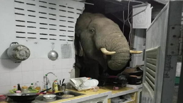 घर की दीवार में कर डाला बड़ा छेद 