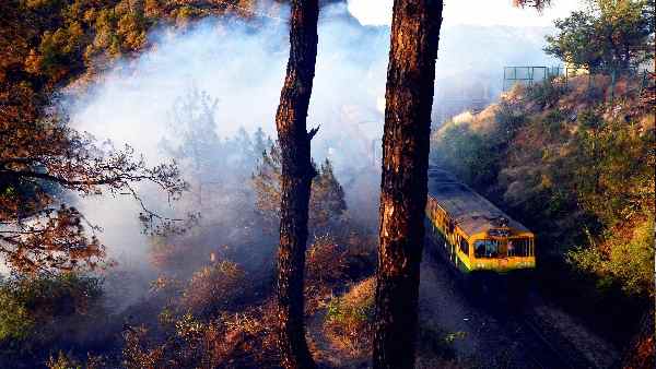 कालका-शिमला टॉय ट्रेन से जुड़ी हैं अलौकिक कहानियां
