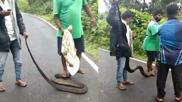 सांप के साथ की गई बदसलूकी