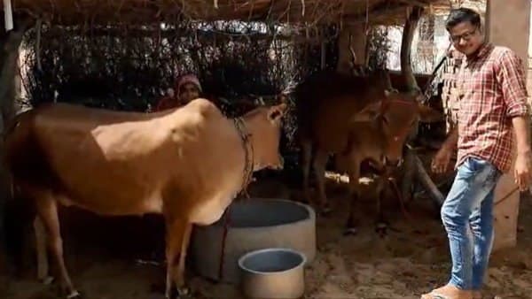 कृष्ण कुमार सिहाग चूरू राजस्थान कृष्ण कुमार सिहाग चूरू राजस्थान