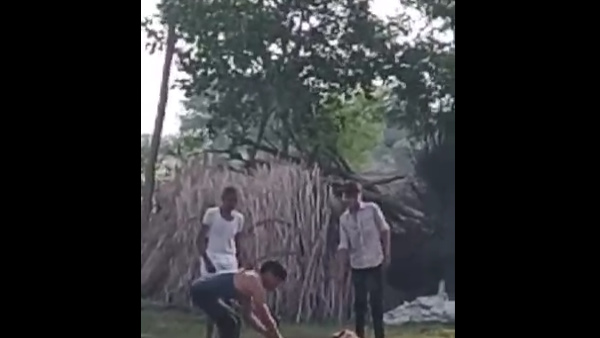 Three legs of a pet dog were cut with a sharp weapon in rani Alwar Video goes Viral Three legs of a pet dog were cut with a sharp weapon in rani Alwar Video goes Viral