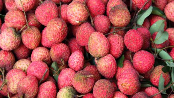 टूटा दुखों का पहाड़