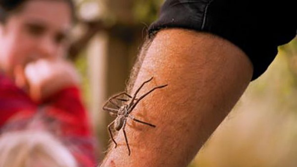 डॉक्टरों ने भी भगवान को किया याद