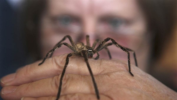 तीन दिन घर पर चला इलाज