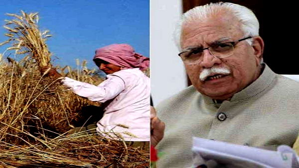 Good news for the farmers of Haryana