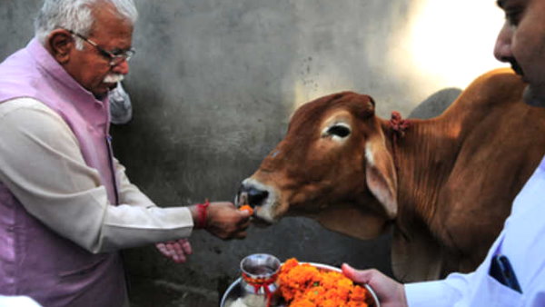 Solar plants are being installed at Gaushalas in Haryana, Chief Minister Manohar Lal Khattar says- one hospital each districts for cow