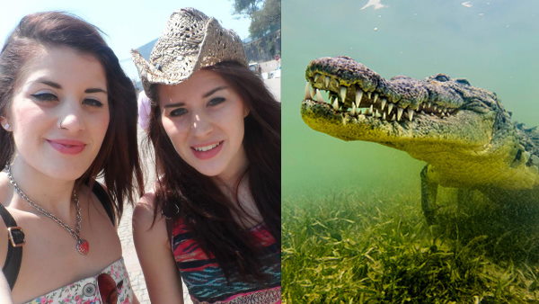 अचानक एक मगरमच्छ ने मेलिसा पर हमला बोल दिया