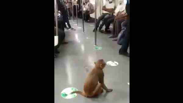 डीएमआरसी ने कही वायरल वीडियो की पुष्टि