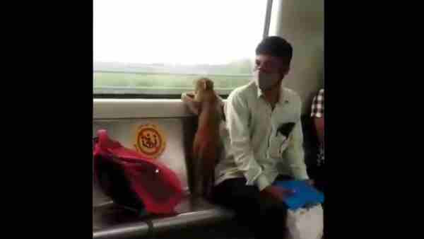 लोगों के बीच वीडियो को खूब पसंद किया जा रहा है