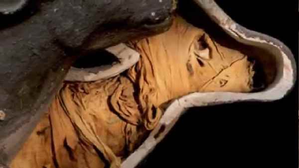 ममी के जरिए उस समय की जानकारी जुटाना मकसद ममी के जरिए उस समय की जानकारी जुटाना मकसद