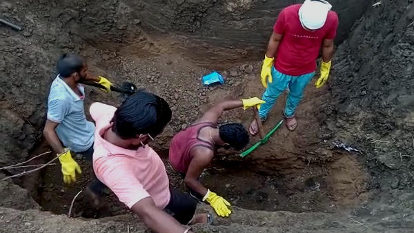 शवों पर नमक और यूरिया डाल दिया