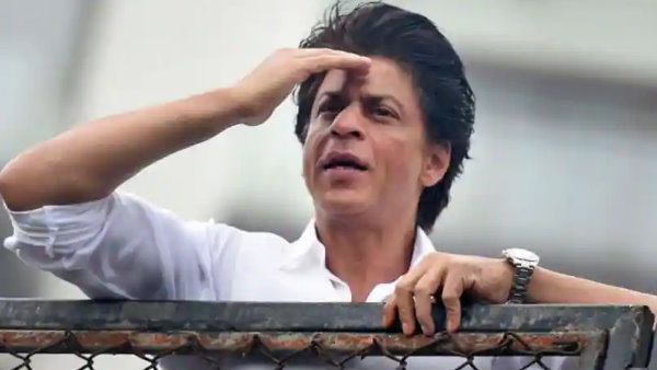 शाहरुख खान इन दिनों अपनी फिल्म 'पठान' में बिजी