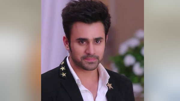 कई शो का हिस्सा रह चुके हैं पर्ल पुरी कई शो का हिस्सा रह चुके हैं पर्ल पुरी