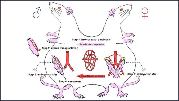 बेहद दर्दनाक और अमानवीय हरकत