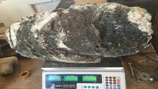 कई लोगों की बदल गई किस्मत