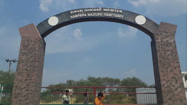 इतना बड़ा है गुजरात में शेरों का इलाका इतना बड़ा है गुजरात में शेरों का इलाका