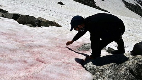 वैज्ञानिक कर रहे गहन जांच