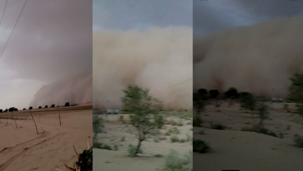 पूरा घर तेज अधड़ के कारण धराशायी पूरा घर तेज अधड़ के कारण धराशायी