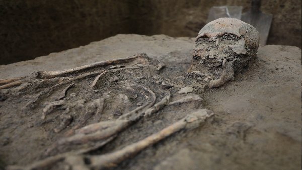 पुरातत्वविदों का एक दुर्लभ उदाहरण पुरातत्वविदों का एक दुर्लभ उदाहरण