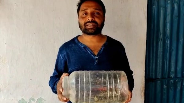 घर से हर कोने से न‍िकल रहे थे सांप