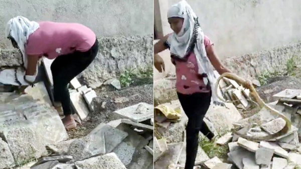 अब तक 80 लाख से ज्यादा लोग देख चुके हैं