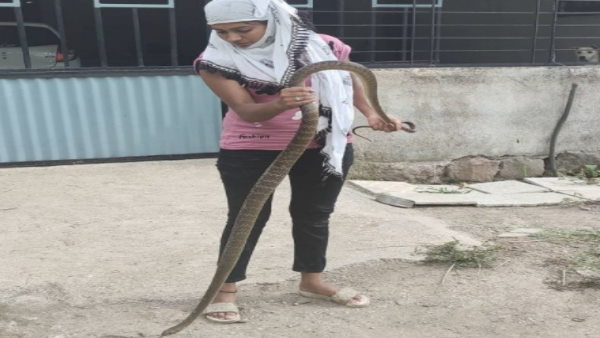 लड़की का नाम है नागेश्वरी