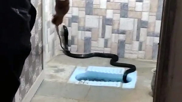 स्पेशल टीम ने किया रेस्क्यू