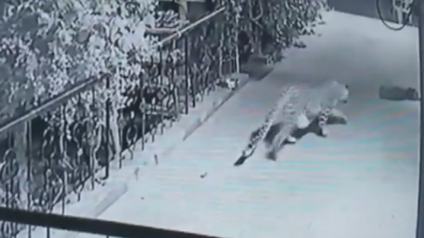 सीसीटीवी में कैद हुई घटना