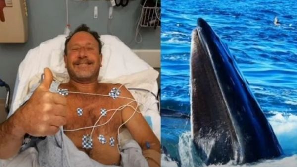 व्हेल के मुंह में था मछुआरा व्हेल के मुंह में था मछुआरा