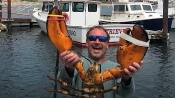 व्हेल के मुंह में कैसे आए? व्हेल के मुंह में कैसे आए?