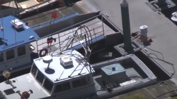 जानकारों ने क्या कहा ? जानकारों ने क्या कहा ?