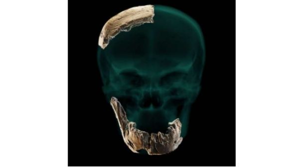 इंसानों की नई प्रजाति