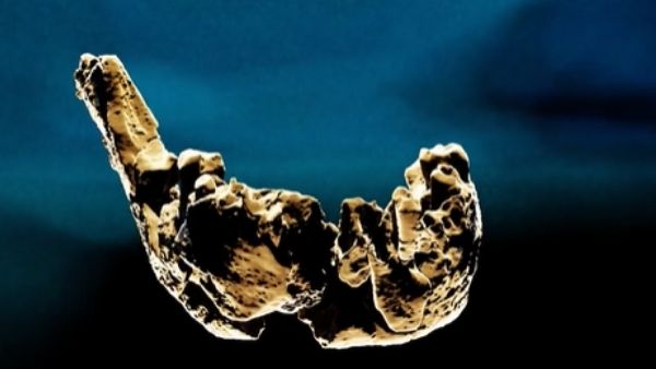 खुदाई में 6 हजार से ज्यादा औजार मिले