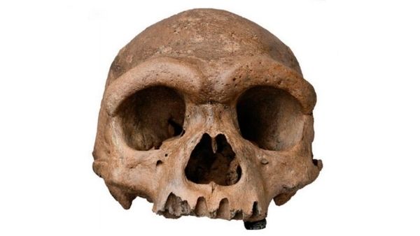 'ड्रैगन मैन' पर खुलासा 'ड्रैगन मैन' पर खुलासा