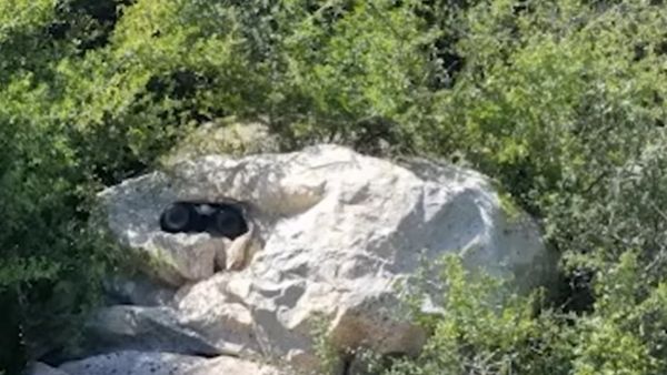 गायब हो जाएंगे सैनिक