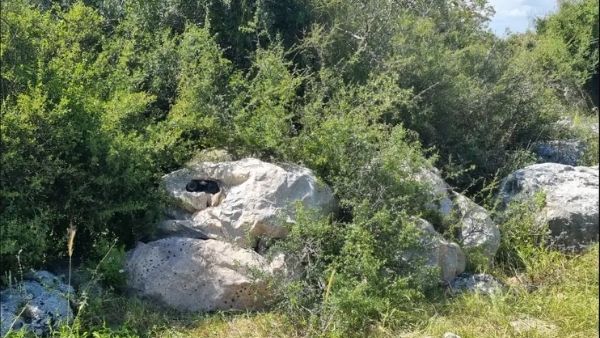 शीट का वजन सिर्फ आधा किलो