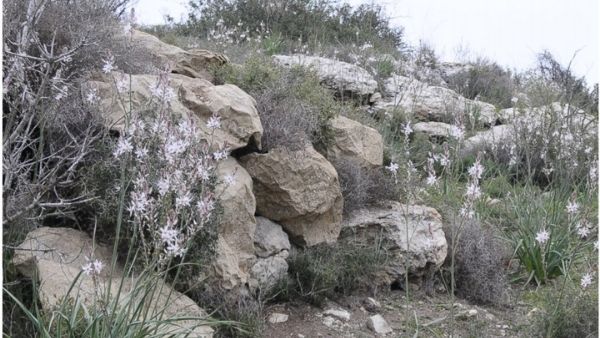 हर स्थिति में करेगा काम