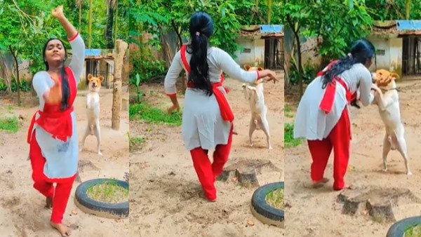 सोशल मीडिया पर वायरल हुआ क्यूट वीडियो