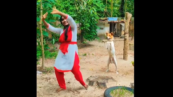 चार लाख लोगों ने देखा वीडियो