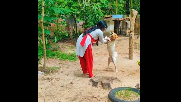 कुत्ते ना बजाई तालियां!